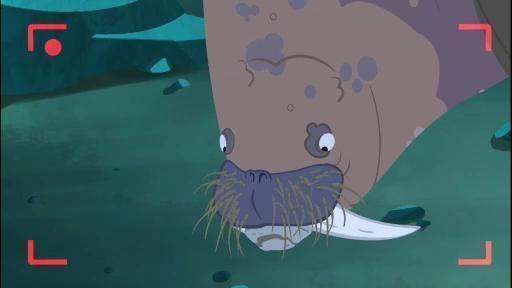 Zach Varmitech kidnaps an entire herd of walruses to mine pearls for Donita Donata.