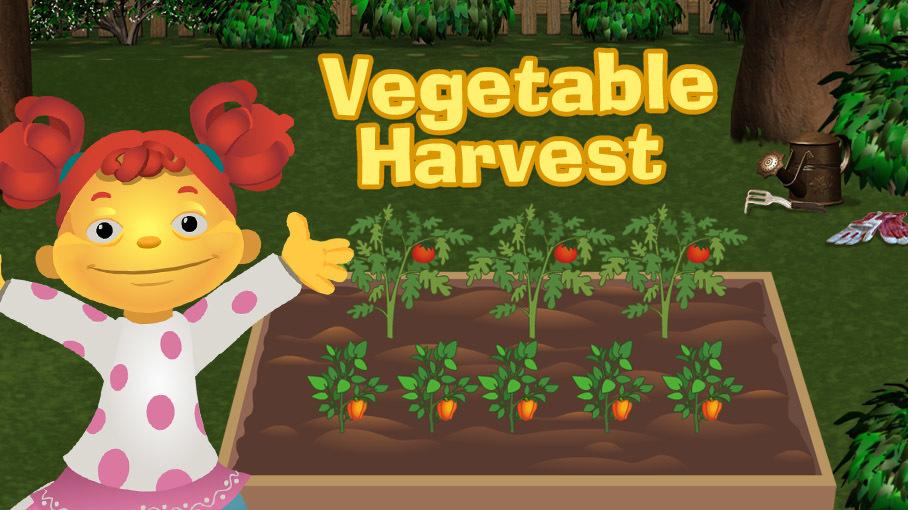 Vegetable Harvest